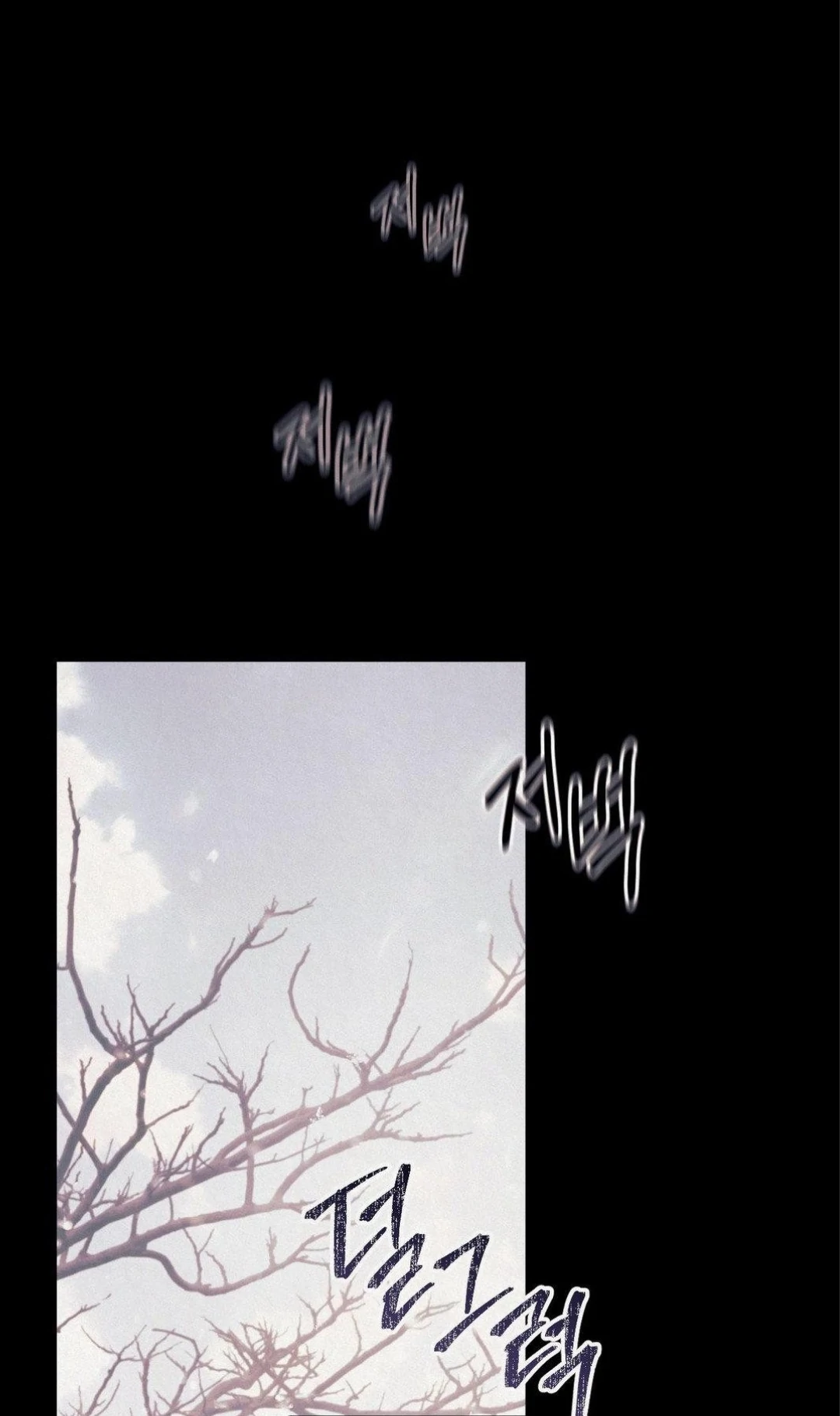 68881509 1080 1820 107526